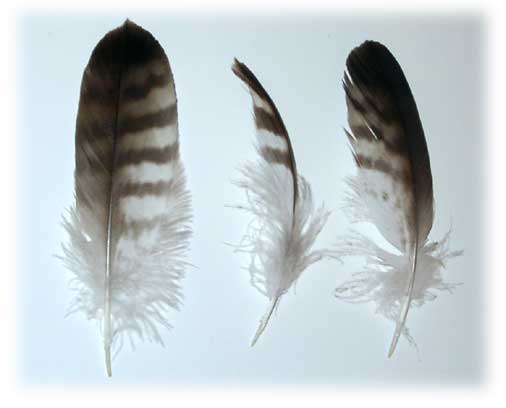 The Three Feathers /Три пера/
